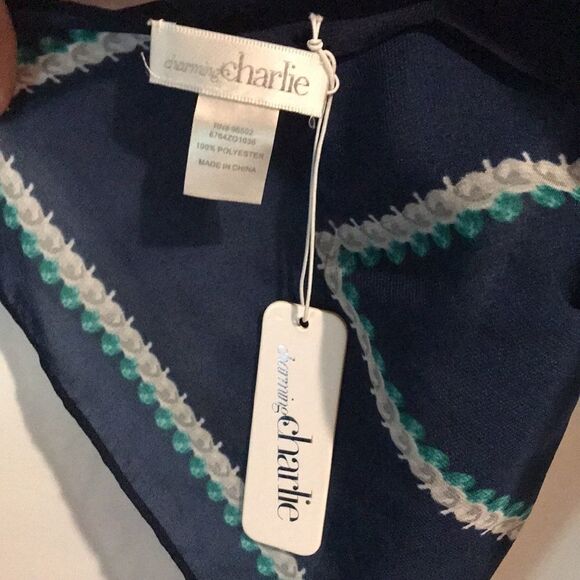 Charming Charlie 72 in Scarf New with tags 100% polyester - Picture 4 of 5